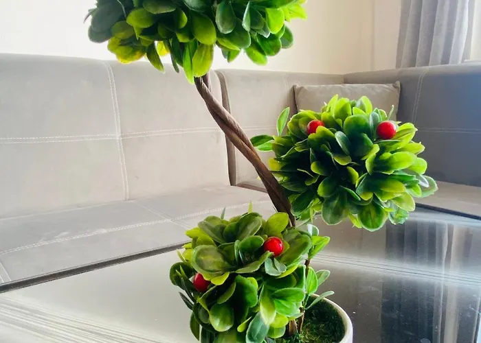 Apartment 1 Bedroom Ap Seaview Peace And Quiet *